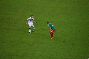 DB官方网站-利物浦绝杀拜仁,萨拉赫梅开二度世界杯