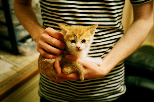 杜兰特状态火热，雄鹿对阵独行侠，一场定义赛季的强强对话